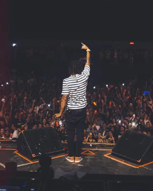 Chris Travis