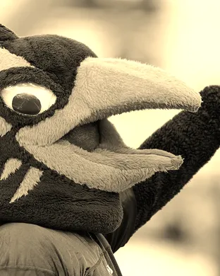UTSA Roadrunners Football