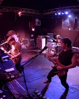 Wavves