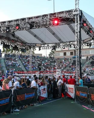 Team Boxing League