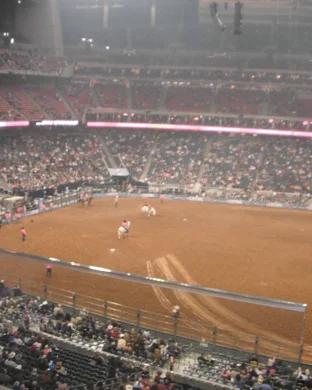 San Antonio Stock Show and Rodeo vs. Flatland Cavalry