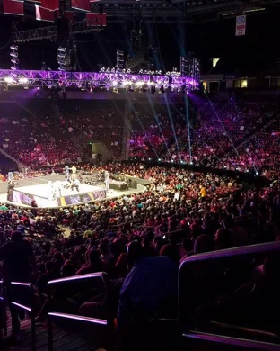 MaskedMania